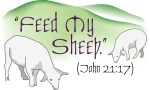 Feed My Sheep